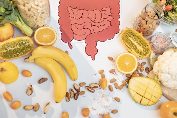 SIBO, FODMAPS and Digestive Health