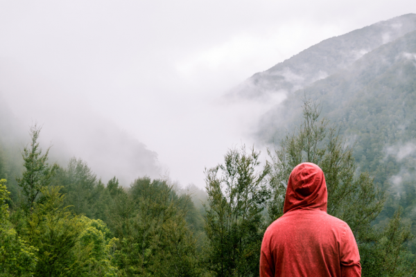 Lifting the Fog of Long Covid