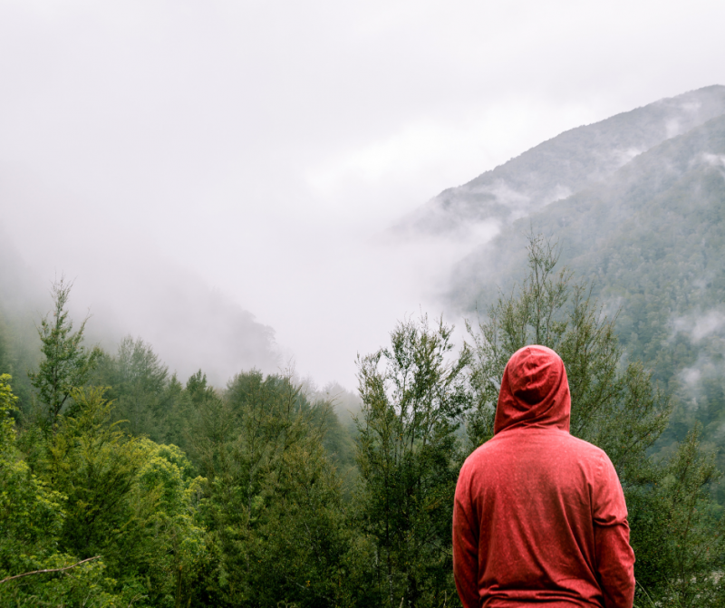 Lifting the Fog of Long Covid