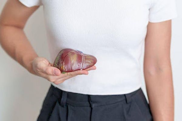 Medicinal Mushrooms to Support the Liver