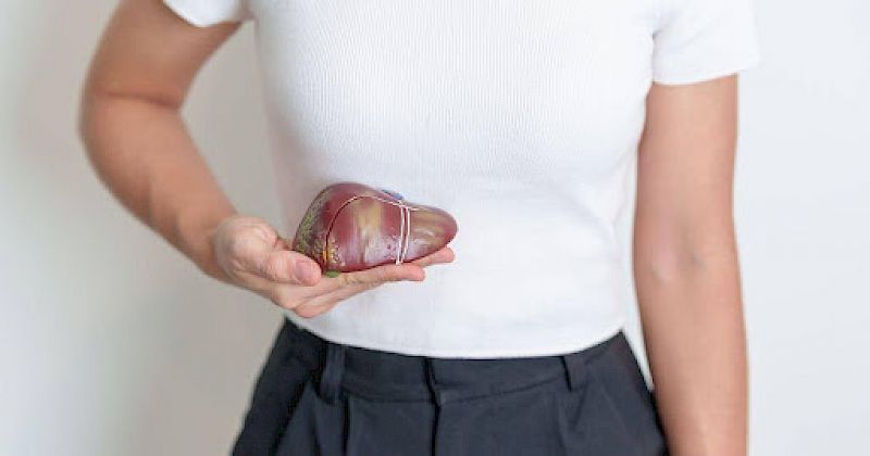 Medicinal Mushrooms to Support the Liver