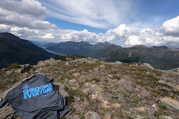 Lifestyle Foundations That Build Resilience