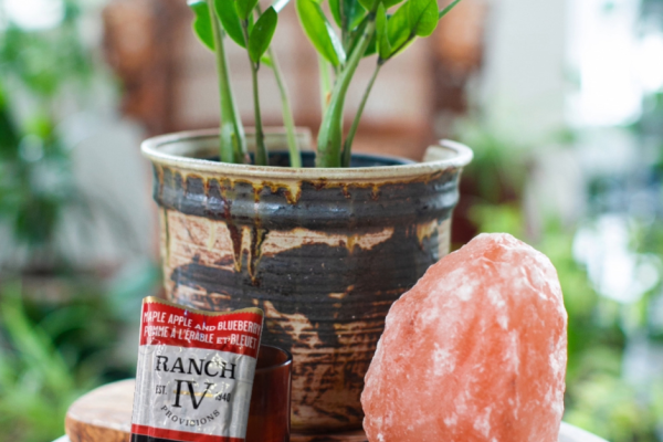 Elevate Your Snacking: The Health Benefits of Ranch IV Provisions Wagyu Beef Bars