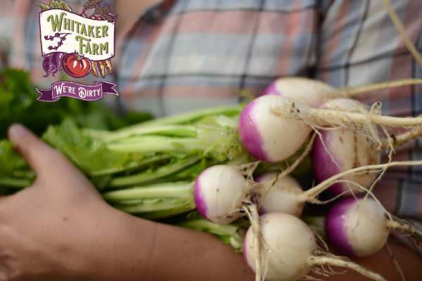 How to Eat Like Royalty This Winter—Farmer Mariette’s Game Plan for Smart Growing & Saving