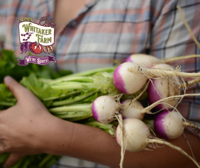 How to Eat Like Royalty This Winter—Farmer Mariette’s Game Plan for Smart Growing & Saving