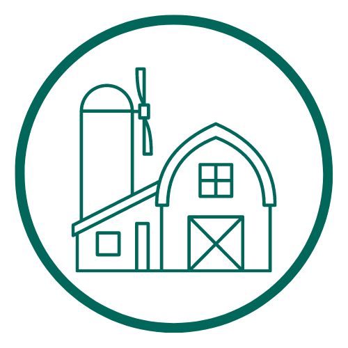 Discover our Local Organic Farms